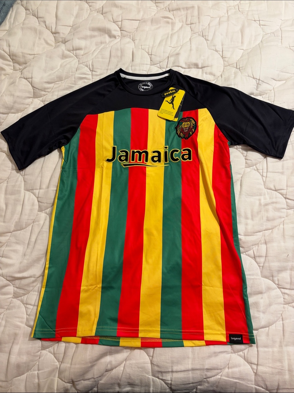Jamaica Lion Striped Men's Soccer Jersey - Rasta